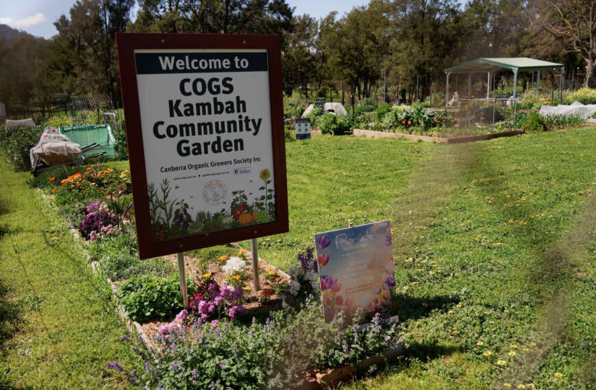 Kambah Community Garden