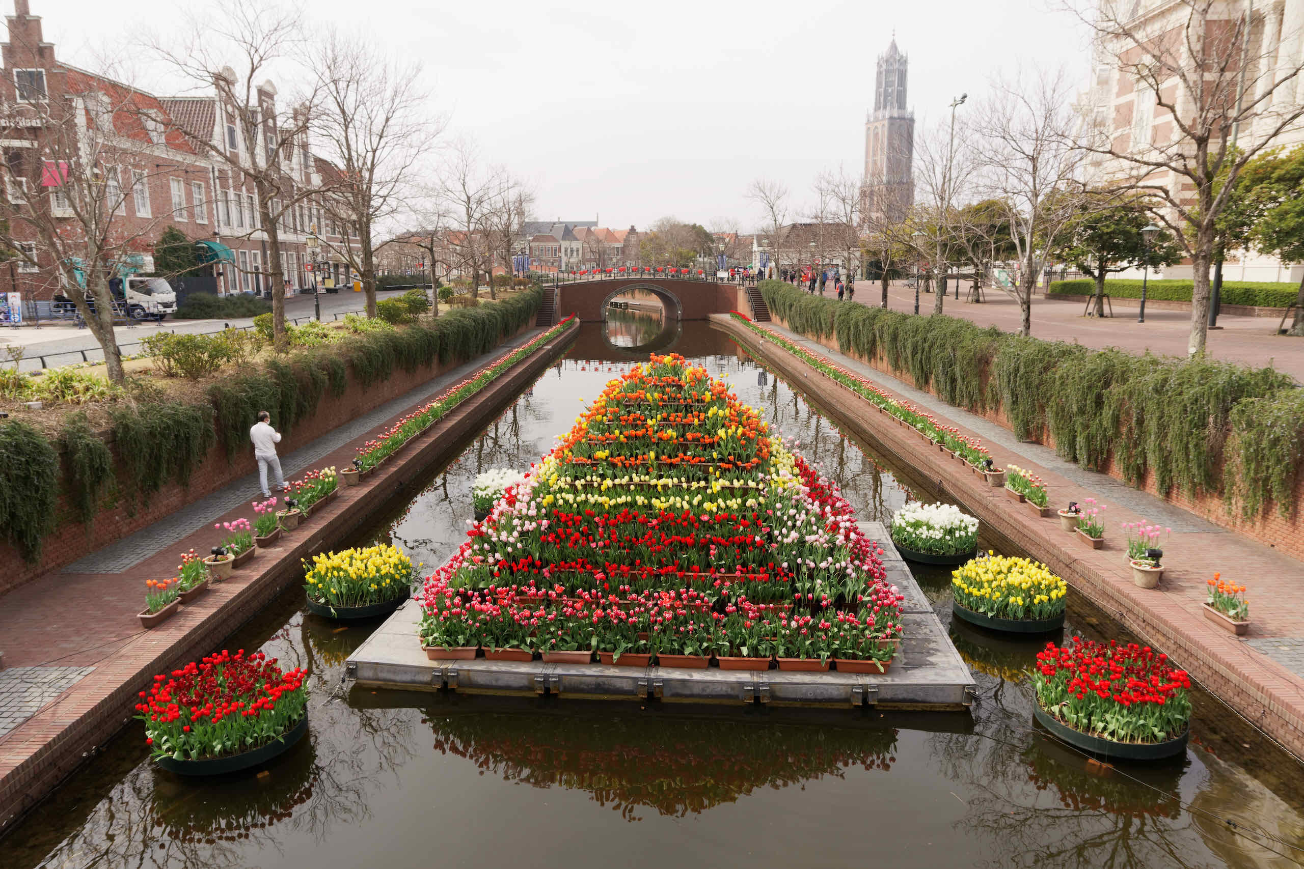 flowers in canal