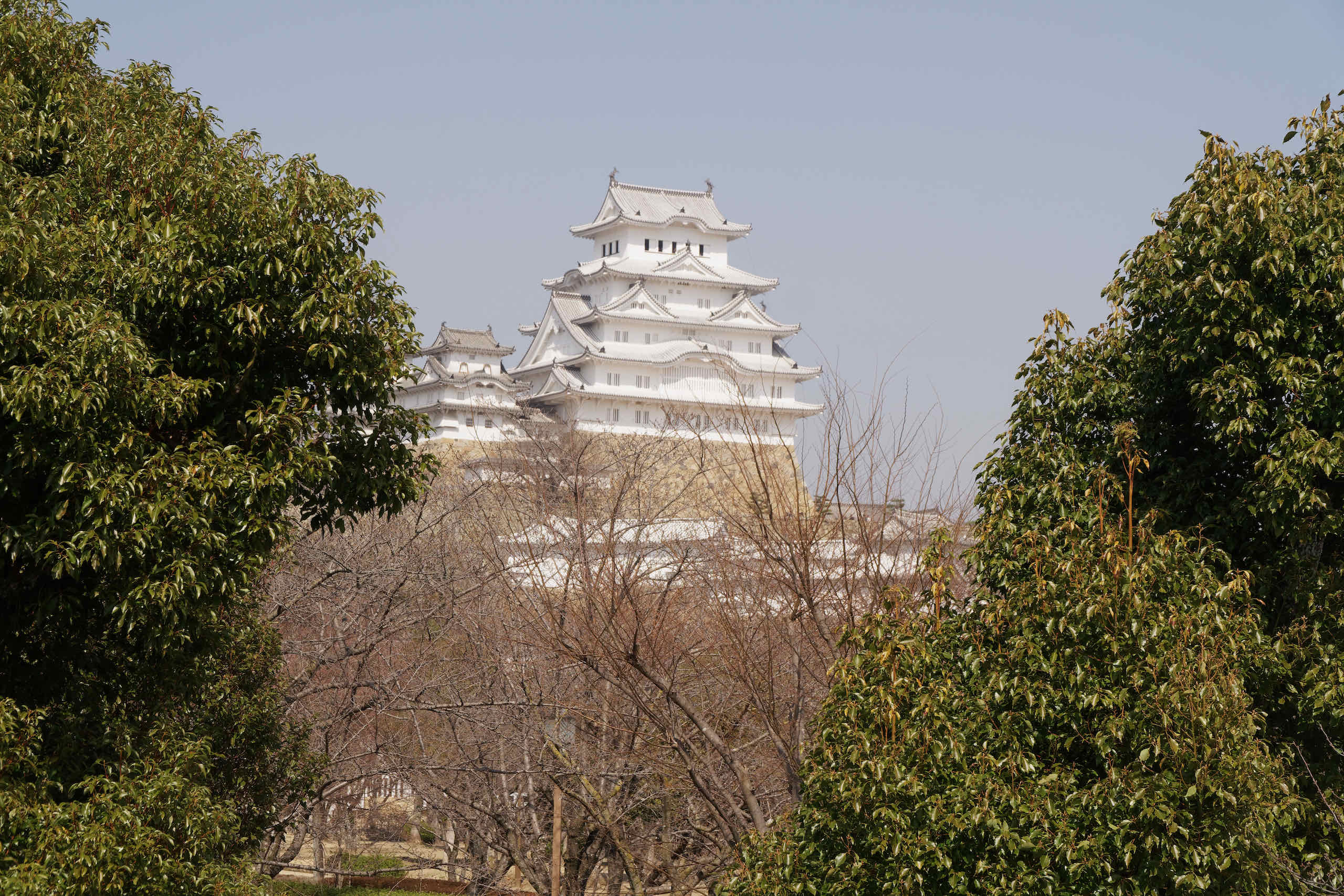 himeji castle (1)